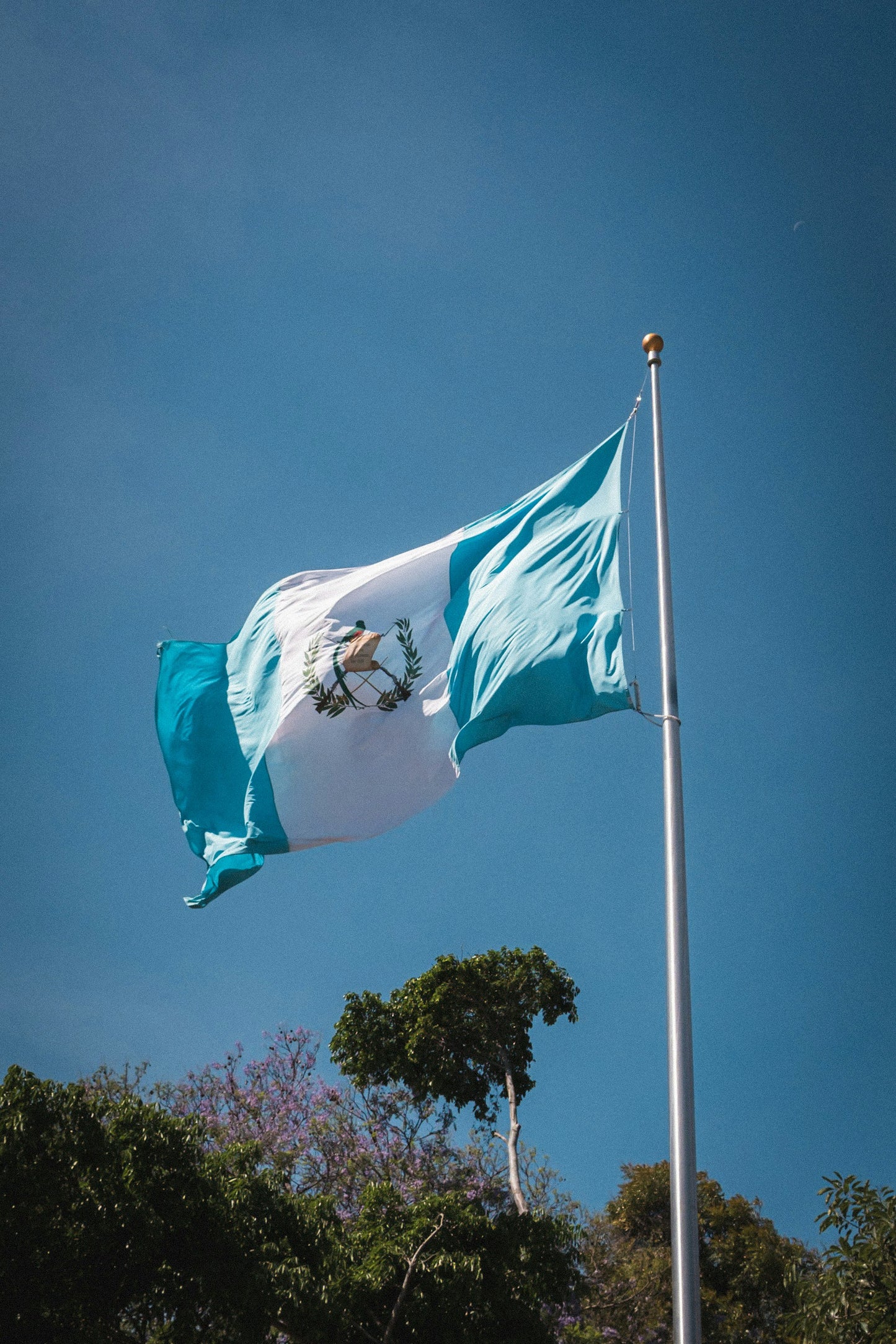 Markoffie Limited Edition Guatemala